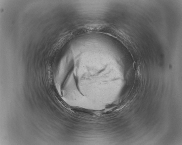 X0000069831396200606091434