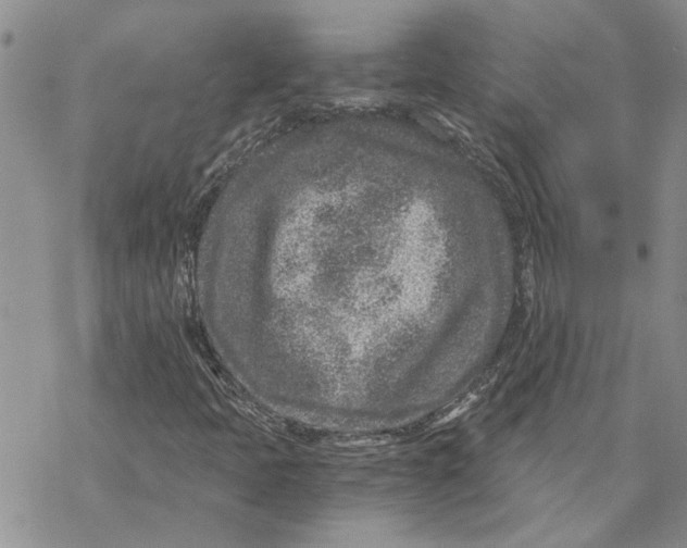 X0000069831397200606091434