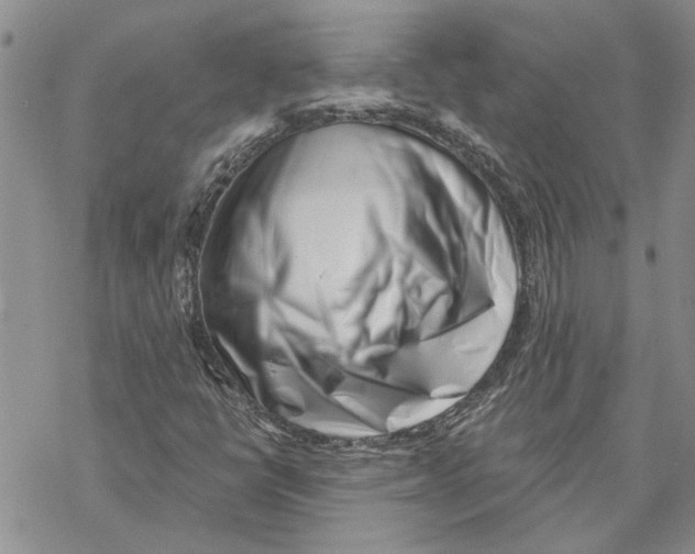 X0000069831398200606091434