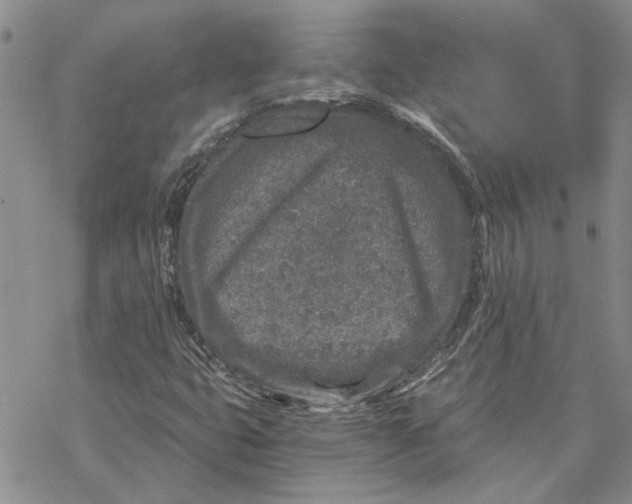 X0000069831399200606091434