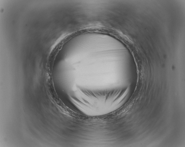 X0000069831400200606091434