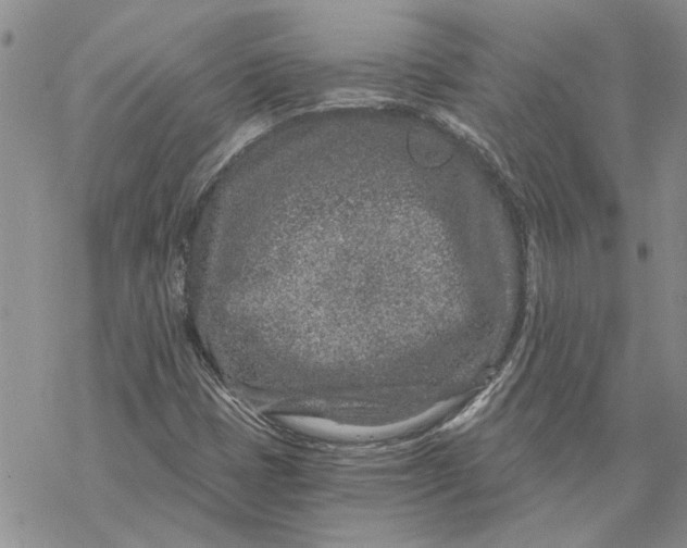 X0000069831401200606091434