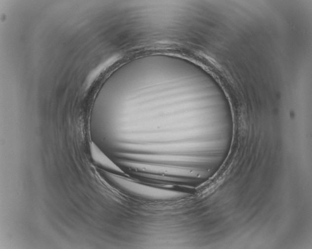 X0000069831402200606091434