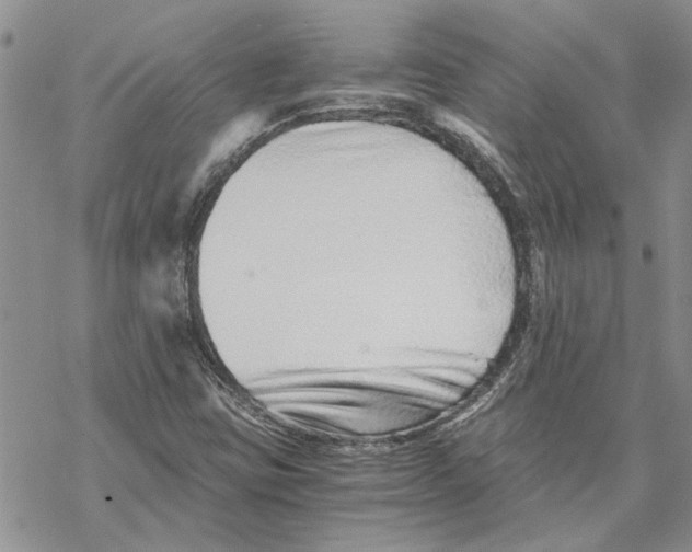 X0000069831403200606091434