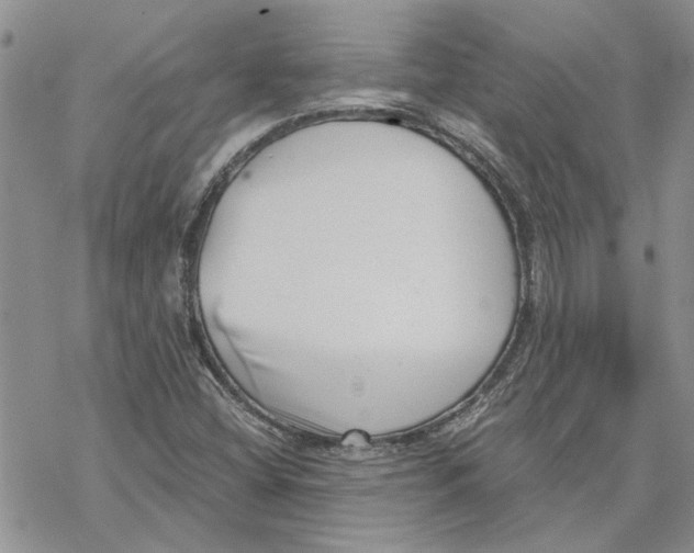 X0000069831404200606091434