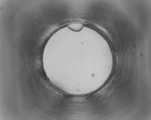 X0000069831407200606091434