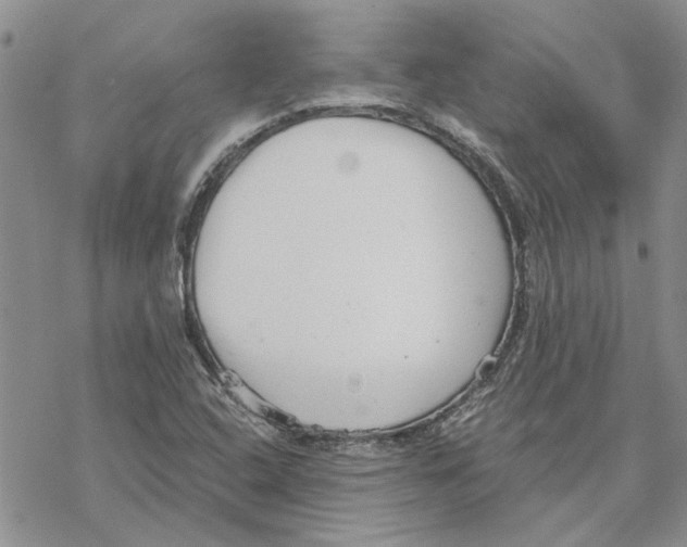 X0000069831408200606091434