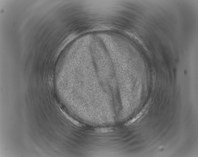 X0000069831409200606091434