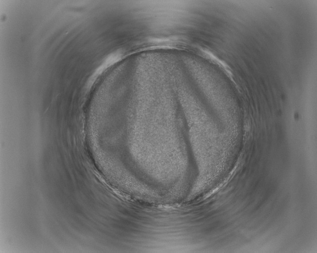 X0000069831411200606091434