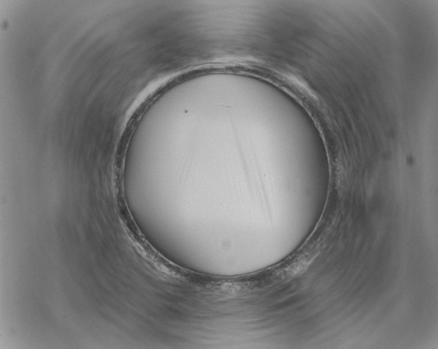 X0000069831412200606091434