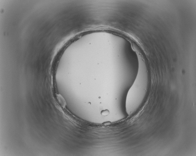 X0000069831414200606091434