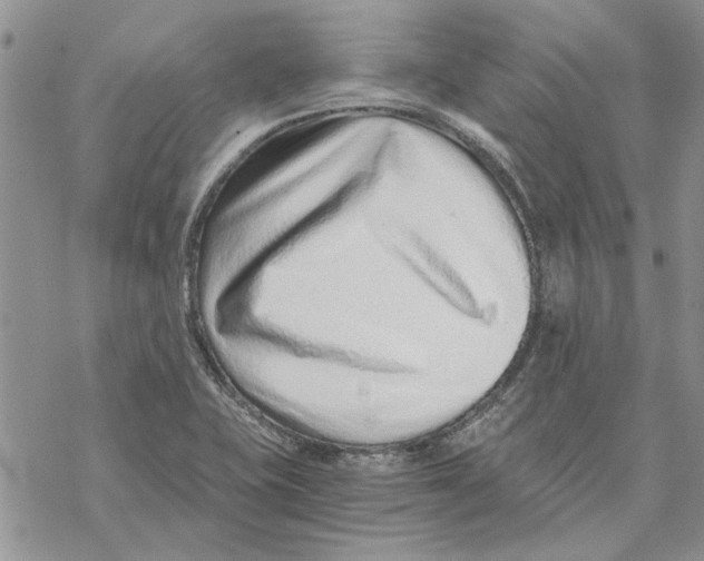 X0000069831415200606091434