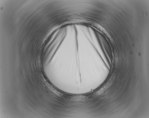 X0000069831417200606091434