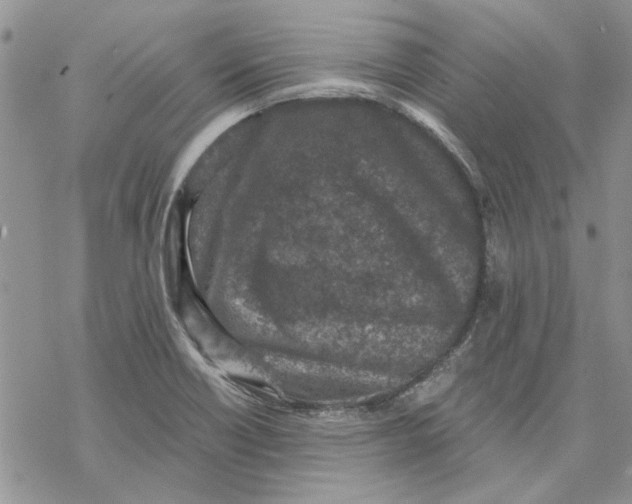 X0000069831418200606091434