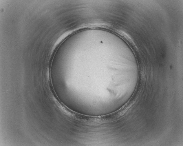 X0000069831420200606091434