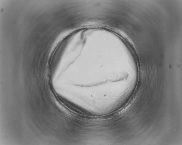 X0000069831421200606091434