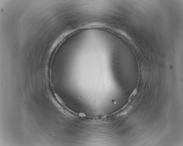 X0000069831422200606091434