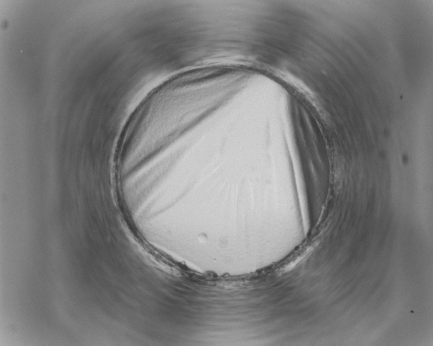 X0000069831423200606091434