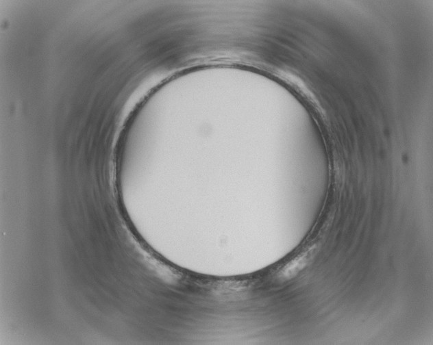 X0000069831424200606091434