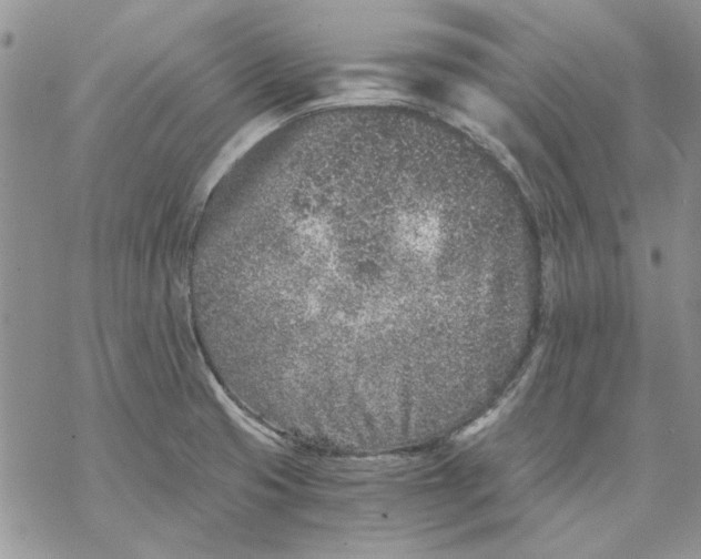 X0000069831425200606091434