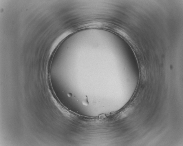 X0000069831426200606091434