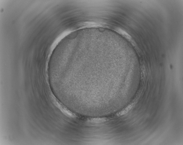 X0000069831427200606091434