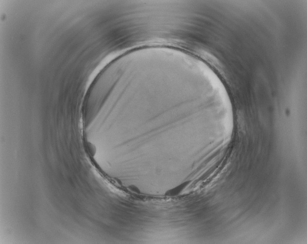 X0000069831428200606091434