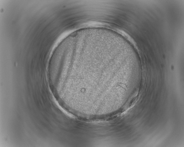 X0000069831429200606091435