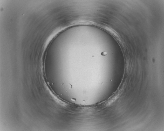 X0000069831430200606091435