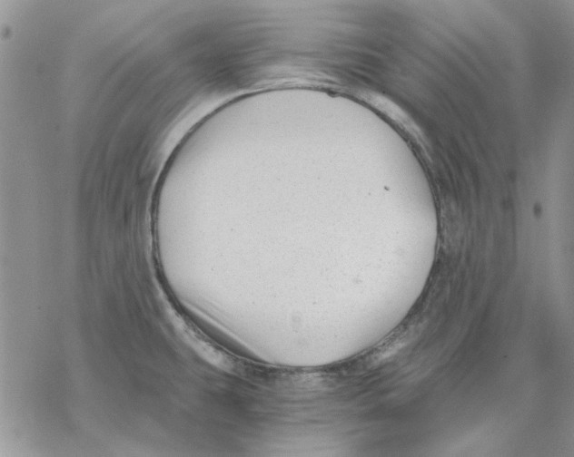 X0000069831431200606091435