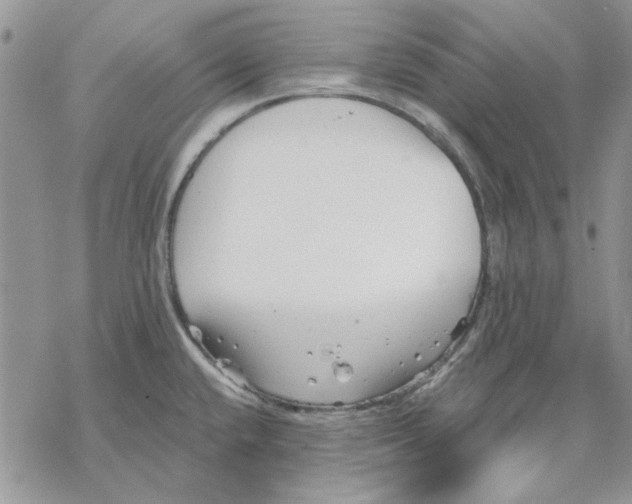 X0000069831432200606091435