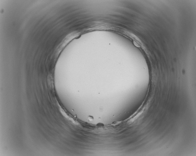 X0000069831433200606091435