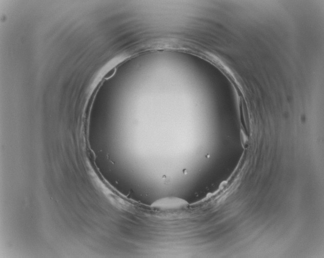 X0000069831434200606091435