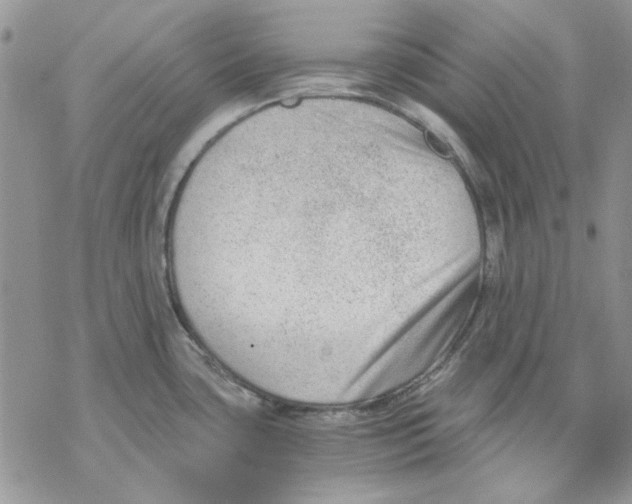 X0000069831435200606091435