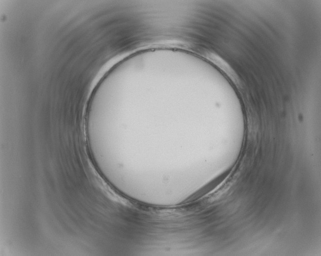 X0000069831436200606091435