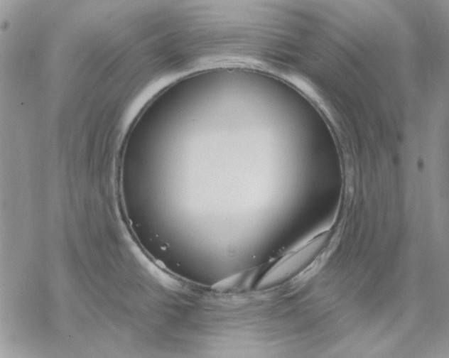 X0000069831438200606091435