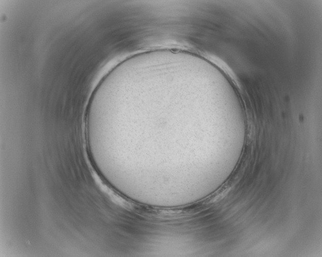 X0000069831439200606091435