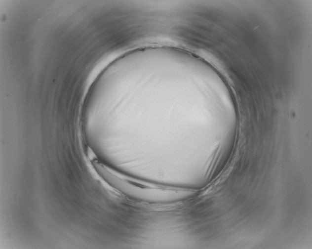 X0000069831440200606091435