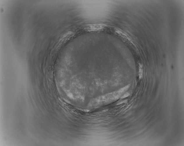 X0000069831441200606091434