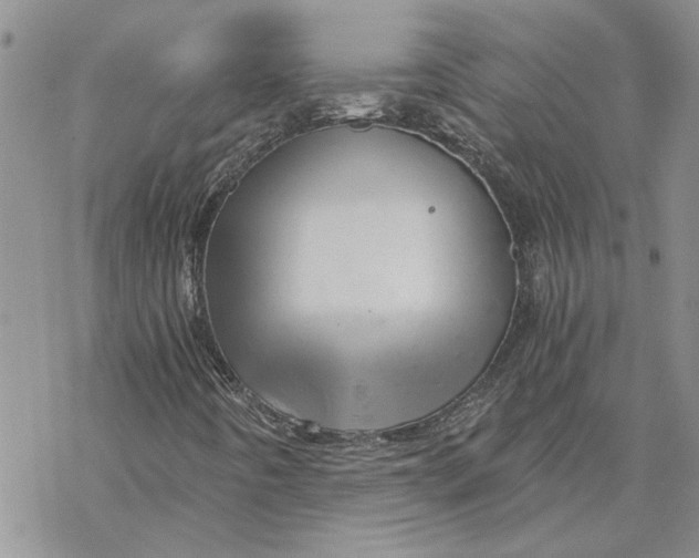 X0000069831442200606091434