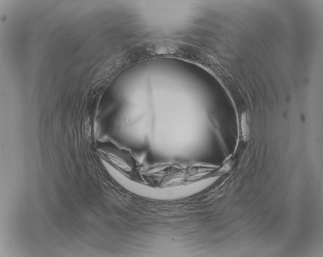 X0000069831443200606091434