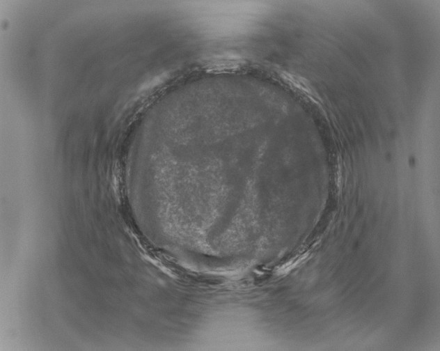 X0000069831445200606091434