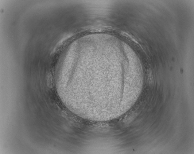 X0000069831446200606091434