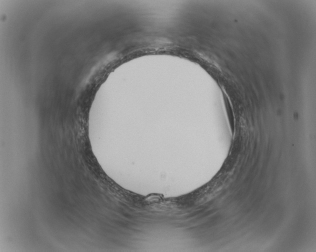 X0000069831447200606091434