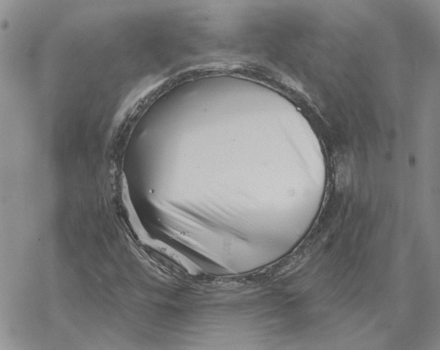 X0000069831448200606091434