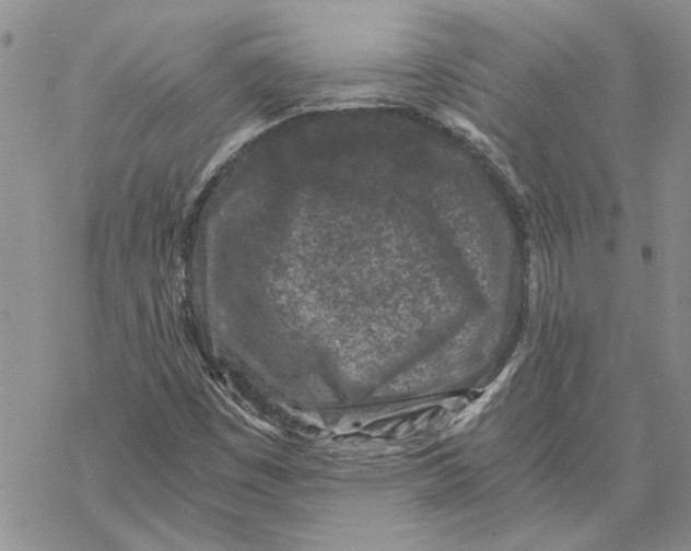 X0000069831449200606091434