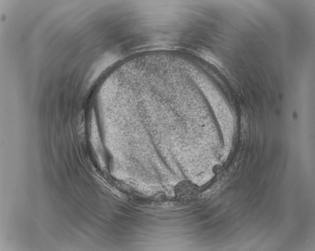 X0000069831450200606091434