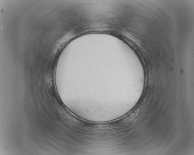 X0000069831451200606091434