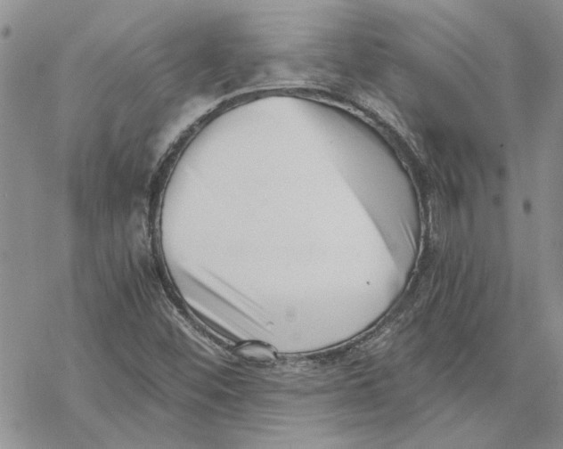 X0000069831452200606091434