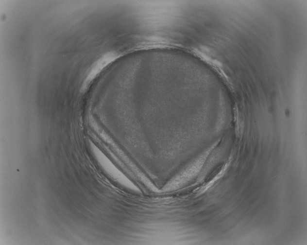 X0000069831453200606091434